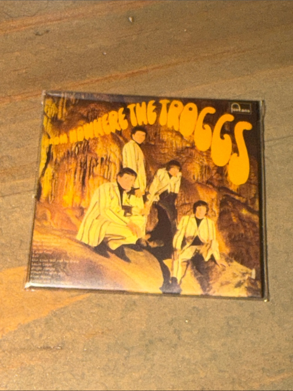 Common Mini Brands Vinyl The Troggs “Wild Thing” Record New